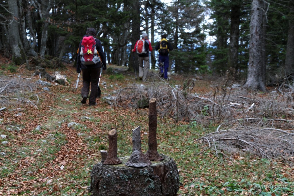 20101030_229